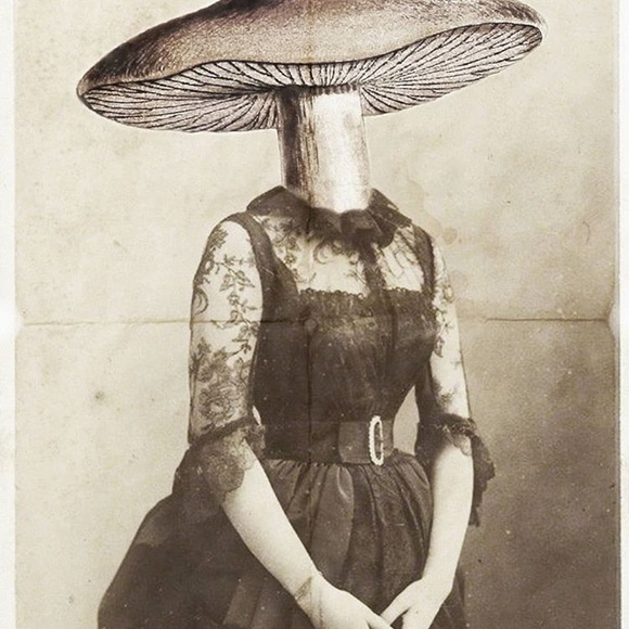 Meet your Posher, Caroline - Picture 3 of 3